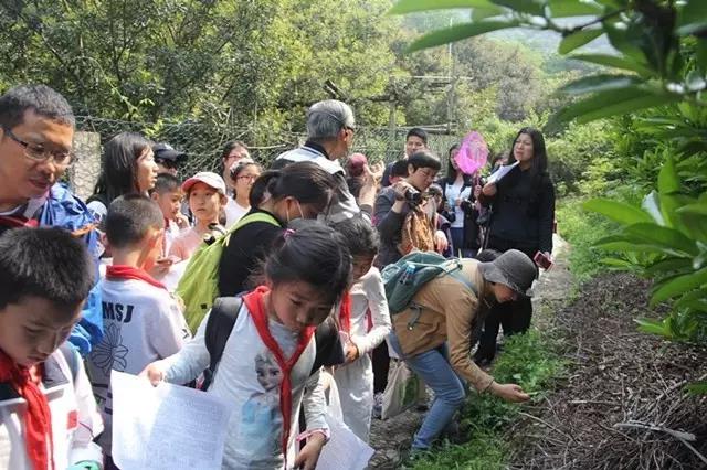 走進(jìn)李良濟(jì)，尋藥樹山中(圖3)